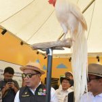 Gubernur Ridwan Kamil Apresiasi Inovasi Teknologi Produksi Pangan di Jawa Barat