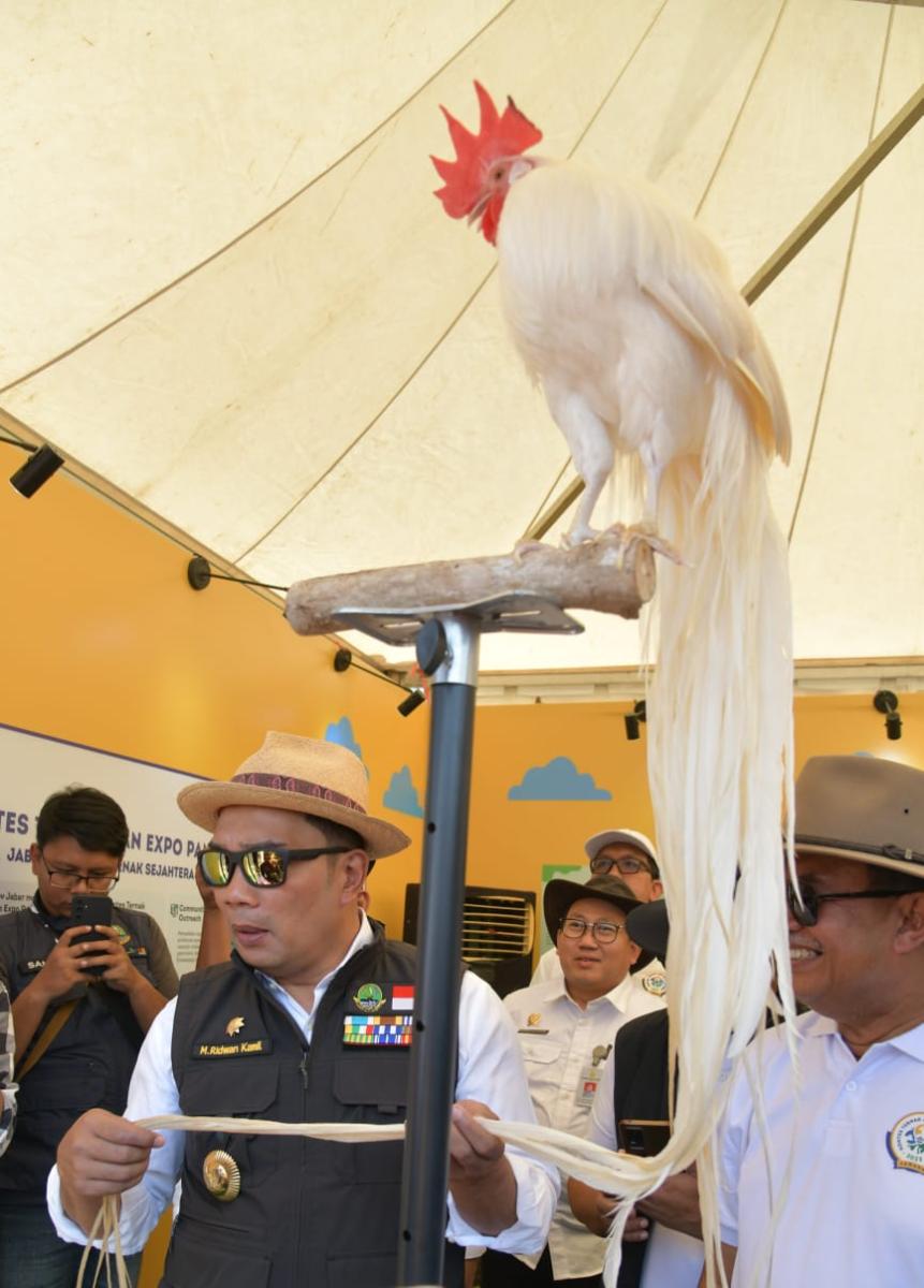 Gubernur Ridwan Kamil Apresiasi Inovasi Teknologi Produksi Pangan di Jawa Barat