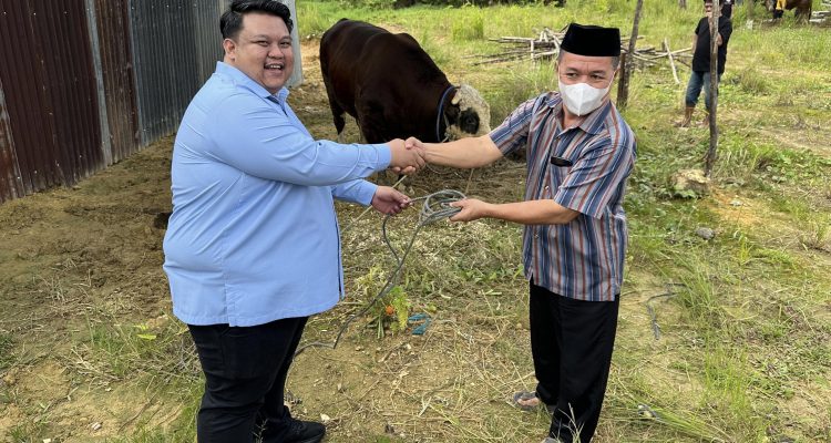 Legislator Sultra Yudhianto Mahardika Berbagi 13 Ekor Sapi Kurban di Hari Raya Idul Adha