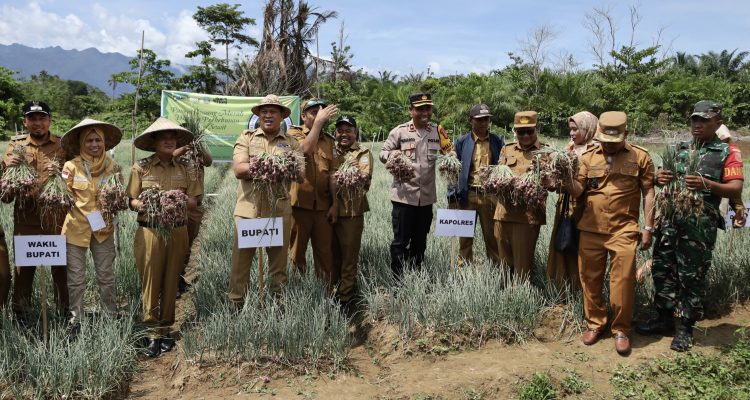 Pemda Konawe Utara Tingkatkan Ketahanan Pangan Lewat Panen Bawang Merah di Desa Tetewatu