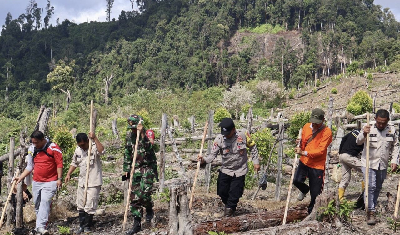Warga Desa Tetelupai Menanam Padi Gogoh, Jadi Simbol Kedaulatan Pangan Konut