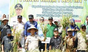 IMG_20251027_204310 Bupati Konawe Utara Pimpin Panen Raya Padi Sawah 135 Hektare di Desa Matanggonawe