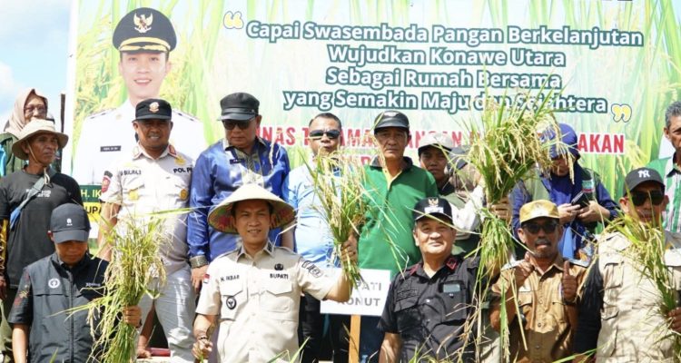 Bupati Konawe Utara Pimpin Panen Raya Padi Sawah 135 Hektare di Desa Matanggonawe
