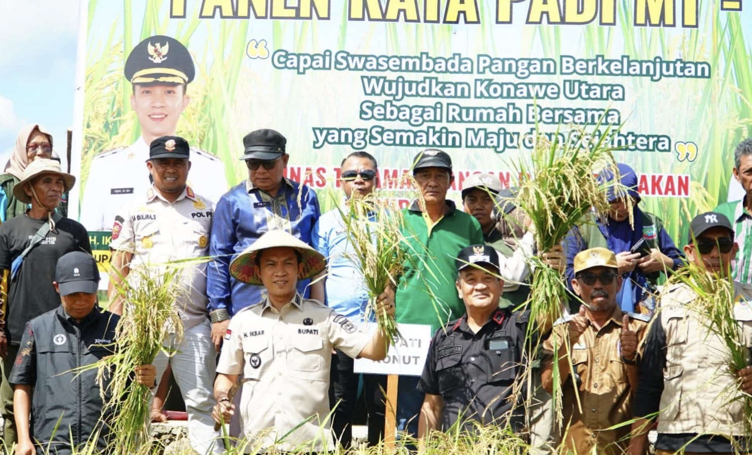 Bupati Konawe Utara Pimpin Panen Raya Padi Sawah 135 Hektare di Desa Matanggonawe