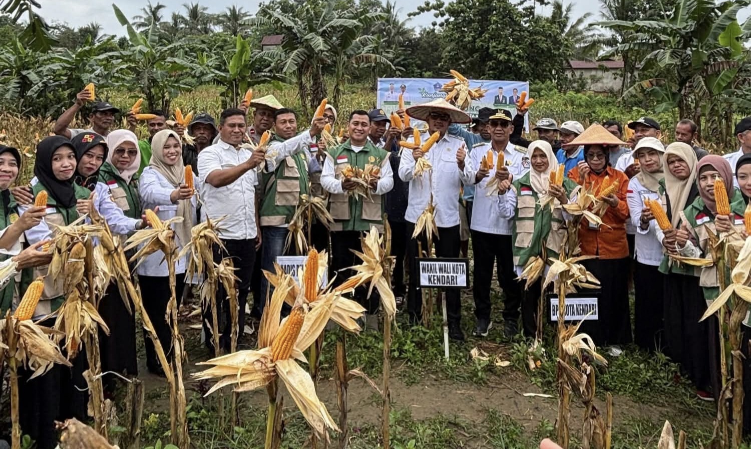 Pemkot Kendari Panen Jagung 4 Hektare, Perkuat Ketahanan Pangan dan Stabilitas Harga