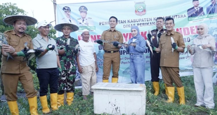 Panen Raya Bandeng Konut Lampaui Target
