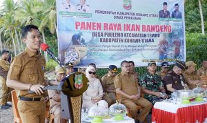 Panen Raya Bandeng di Puulemo, Pemkab Konawe Utara Perkuat Ketahanan Pangan