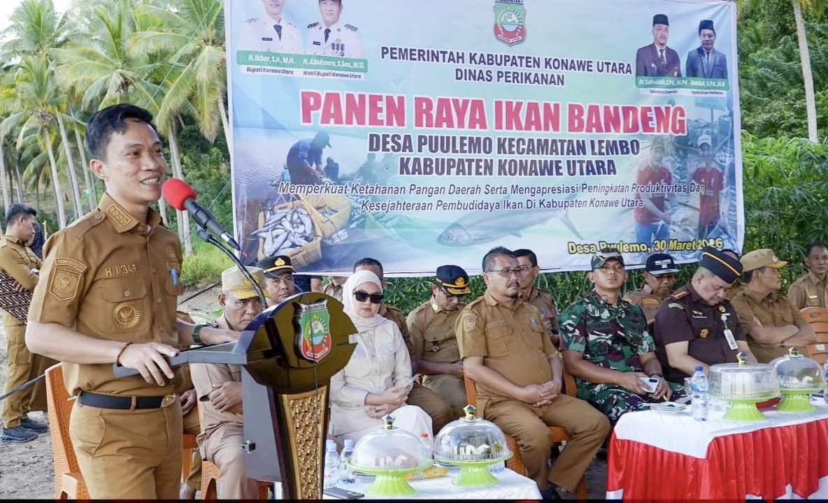 Panen Raya Bandeng di Puulemo, Pemkab Konawe Utara Perkuat Ketahanan Pangan