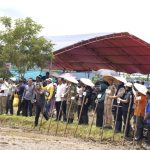 Dorong Ketahanan Pangan Melalui Program CSR, Bupati Konut Pimpin Tanam Serentak Padi Sawah