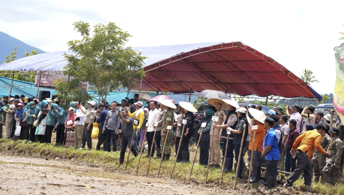 Dorong Ketahanan Pangan Melalui Program CSR, Bupati Konut Pimpin Tanam Serentak Padi Sawah