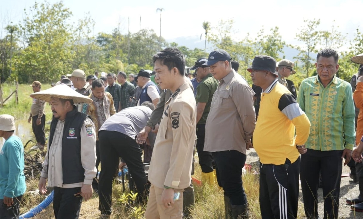 Dorong Ketahanan Pangan Melalui Program CSR, Bupati Konut Pimpin Tanam Serentak Padi Sawah